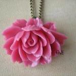 oneysuckle Pink Ruffle Rose..