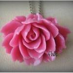 oneysuckle Pink Ruffle Rose..